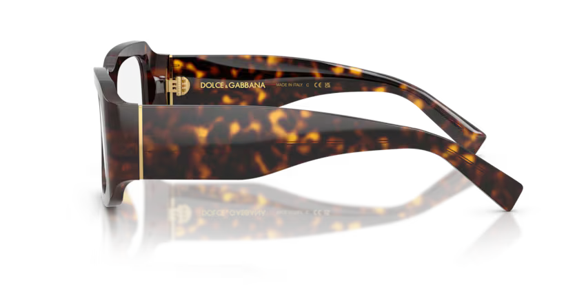 GAFAS 0DG4503 502/1W