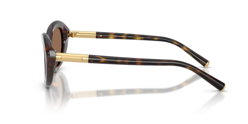 GAFAS 0DG4519 502/73