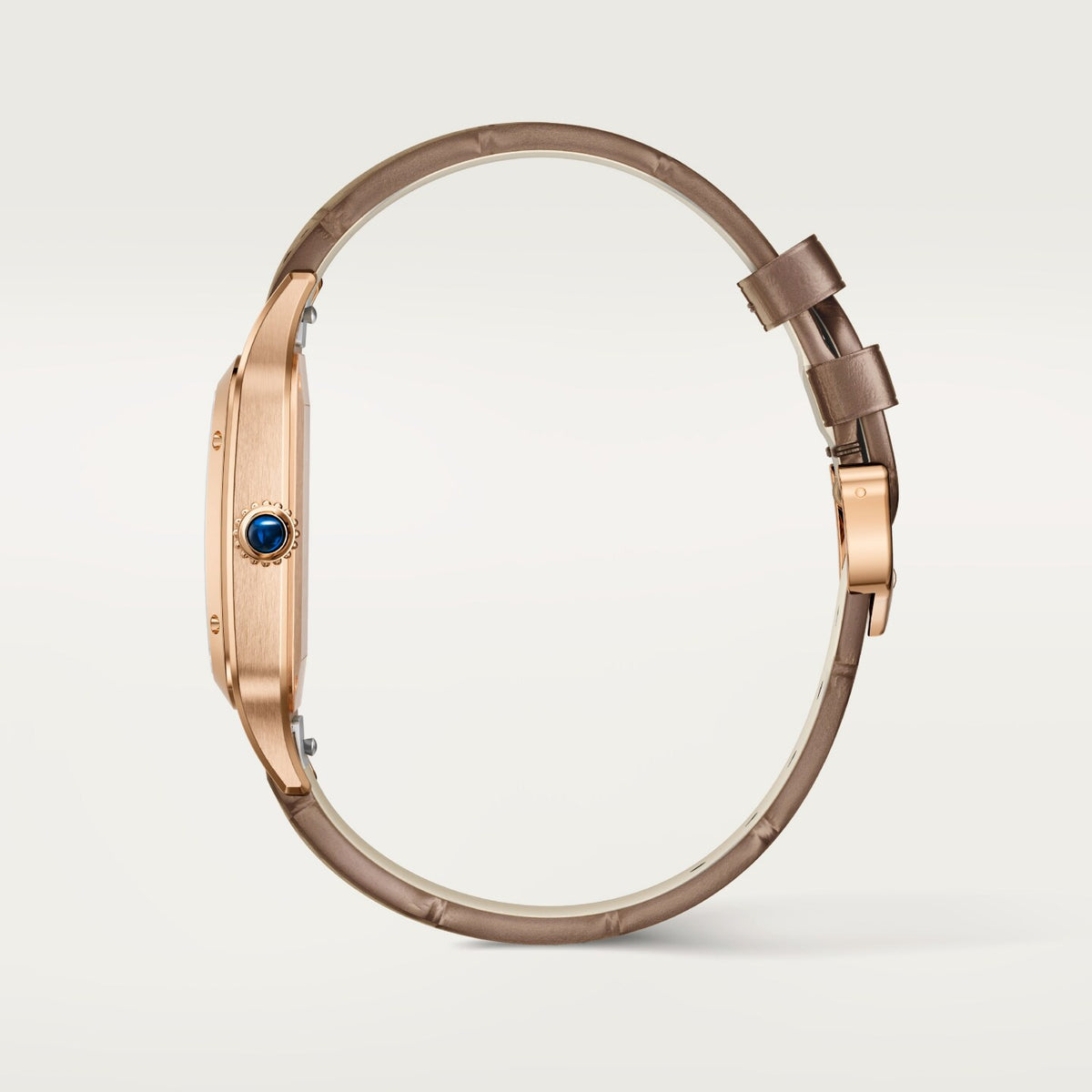Reloj Cartier Santos-Dumont XL Oro Rosa WGSA0112