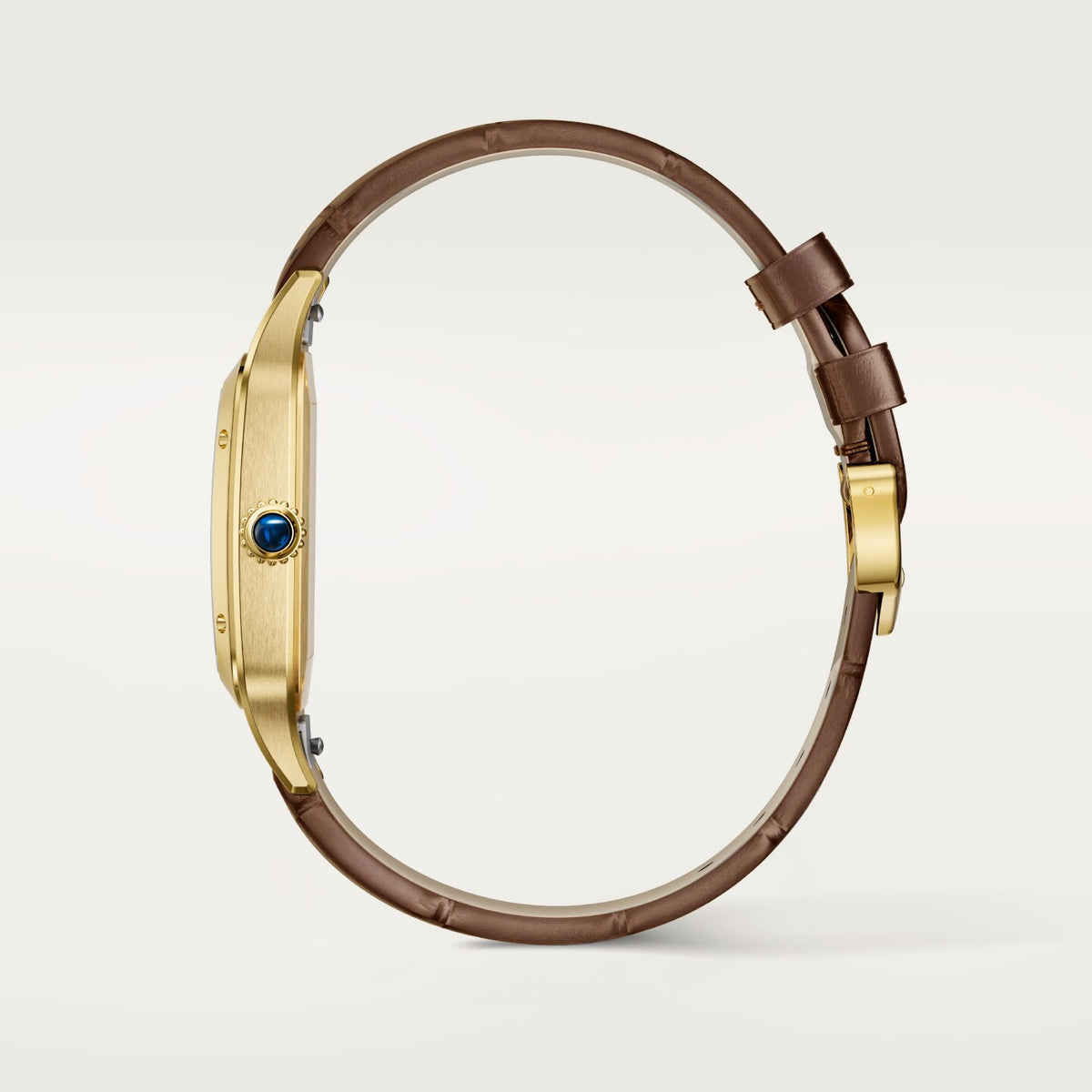 Reloj Cartier Santos-Dumont XL Oro Amarillo WGSA0111