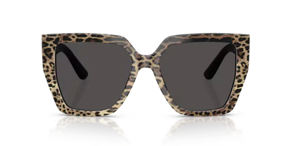 GAFAS 0DG4439 316387 - Leopardo marrón sobre negro Dolce & Gabbana