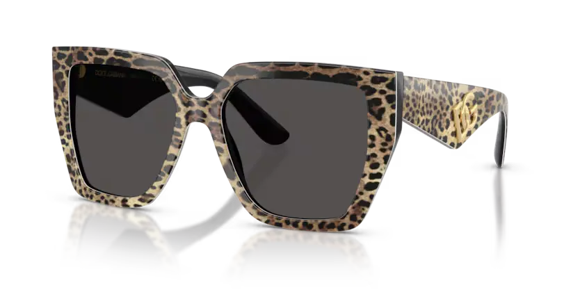 GAFAS 0DG4438 316387 - Leopardo marrón sobre negro Dolce & Gabbana