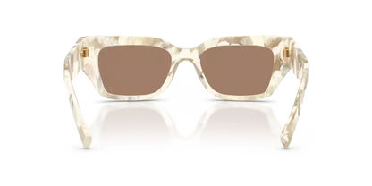 GAFAS DG 0DG4462 346173 - Pearl havana cream Dolce & Gabbana