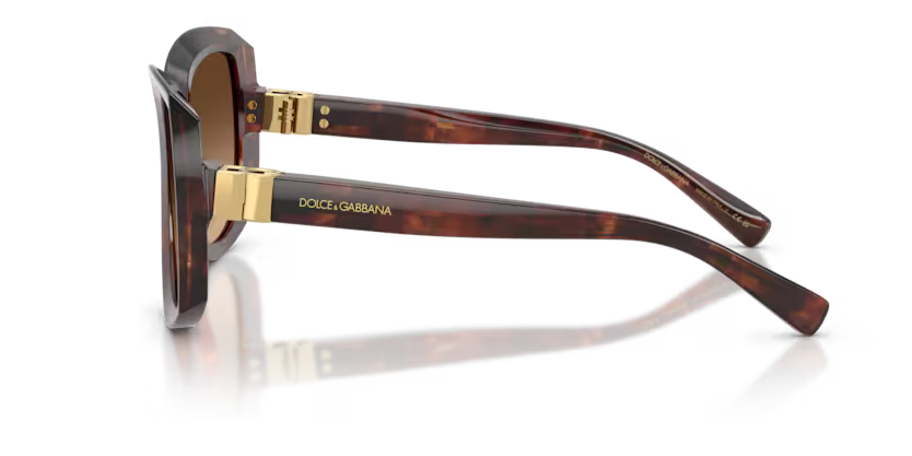 GAFAS    0DG4495 322274