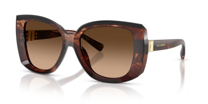 GAFAS    0DG4495 322274