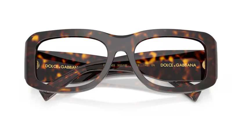 GAFAS 0DG4503 502/1W