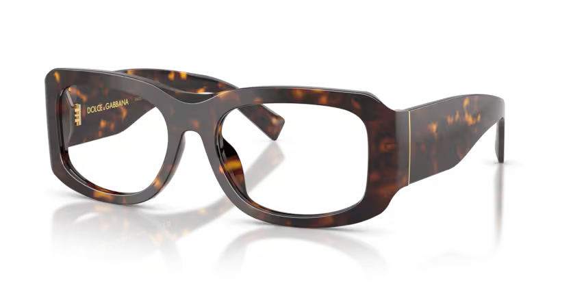 GAFAS 0DG4503 502/1W