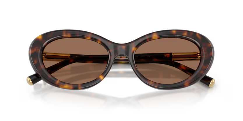 GAFAS 0DG4519 502/73