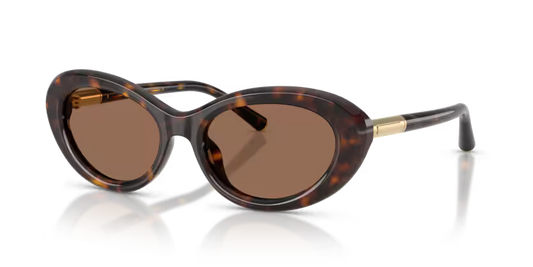 GAFAS 0DG4519 502/73