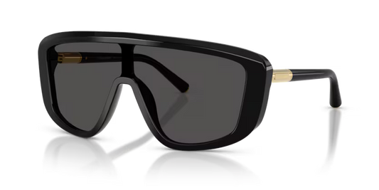 GAFAS DG 0DG4520 501/87