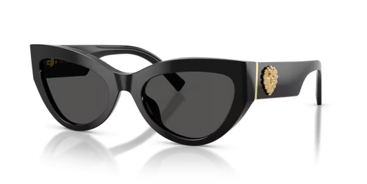 Gafas DG 4536 501/87