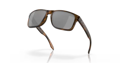 GAFAS OAKLEY HOLBROOK 9102 F4 Oakley