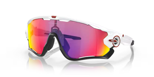 Gafas OAKLEY JAWBREAKER  9290 05 Oakley