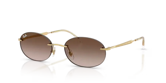 GAFAS RAYBAN 3767 001/13 Ray-Ban