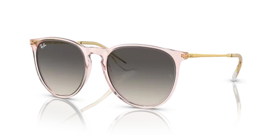 GAFAS RAYBAN ERIKA 4171 674211 Ray-Ban