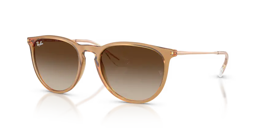 GAFAS RAYBAN ERIKA 4171 681413 Ray-Ban