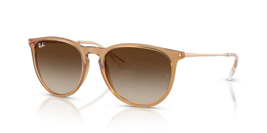 GAFAS RAYBAN ERIKA 4171 681413 Ray-Ban