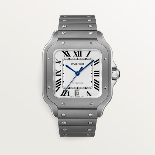 Reloj Cartier Santos Grande Titanio WSSA0089