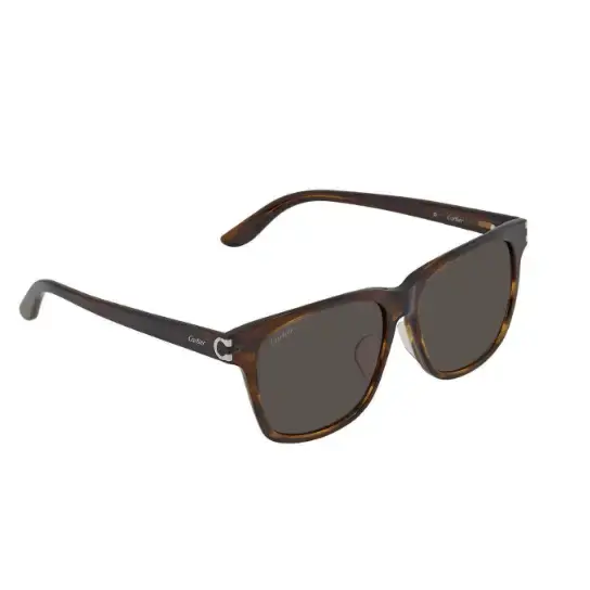 Cartier CT0131SA 004 55 - MWHITE.COM.CO