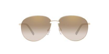 Gafas de sol Valentino VA2021 3003/71