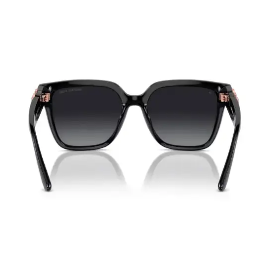 GAFAS MICHAEL KORS karlie MK2170U 3005T3 - 54 s - Gafas de Sol