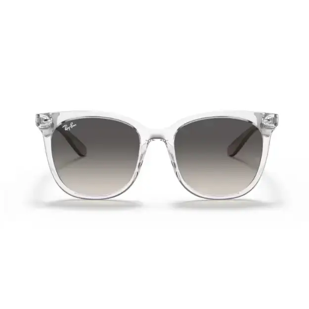 GAFAS RAYBAN 4379D 659811 - 55 L - Gafas de Sol