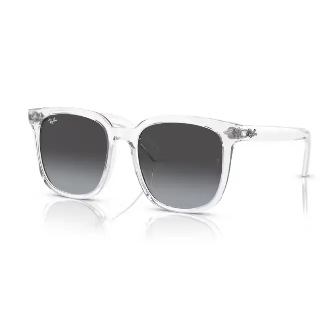 GAFAS RAYBAN 4401D 64478G - 55 XL - Gafas de Sol