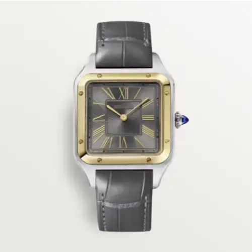 Reloj Cartier Santos Dumont Quartz W2SA0028 - Relojes